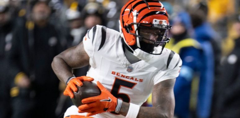 WR Tee Higgins, Cincinnati Bengals