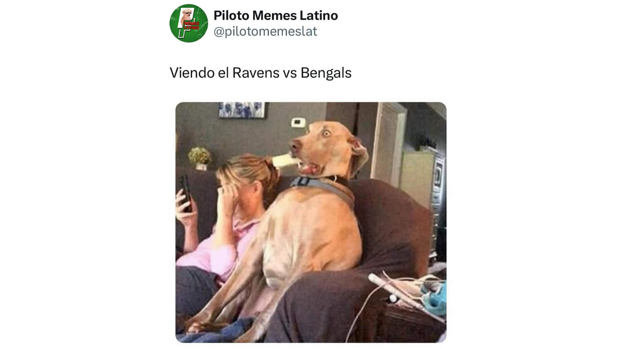Los mejores Memes NFL del Bengals vs Ravens – Semana 10, 2024