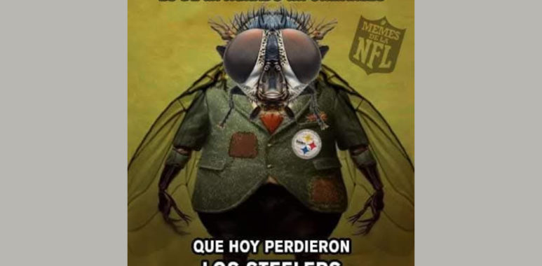 Memes de la NFL